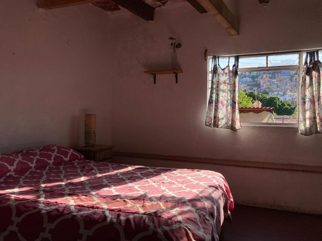 Low-Cost Guest House Casa Alebrije Guanajuato Exterior foto